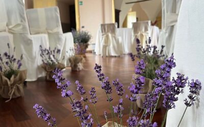 Allestimenti per cerimonia ed evento successivo