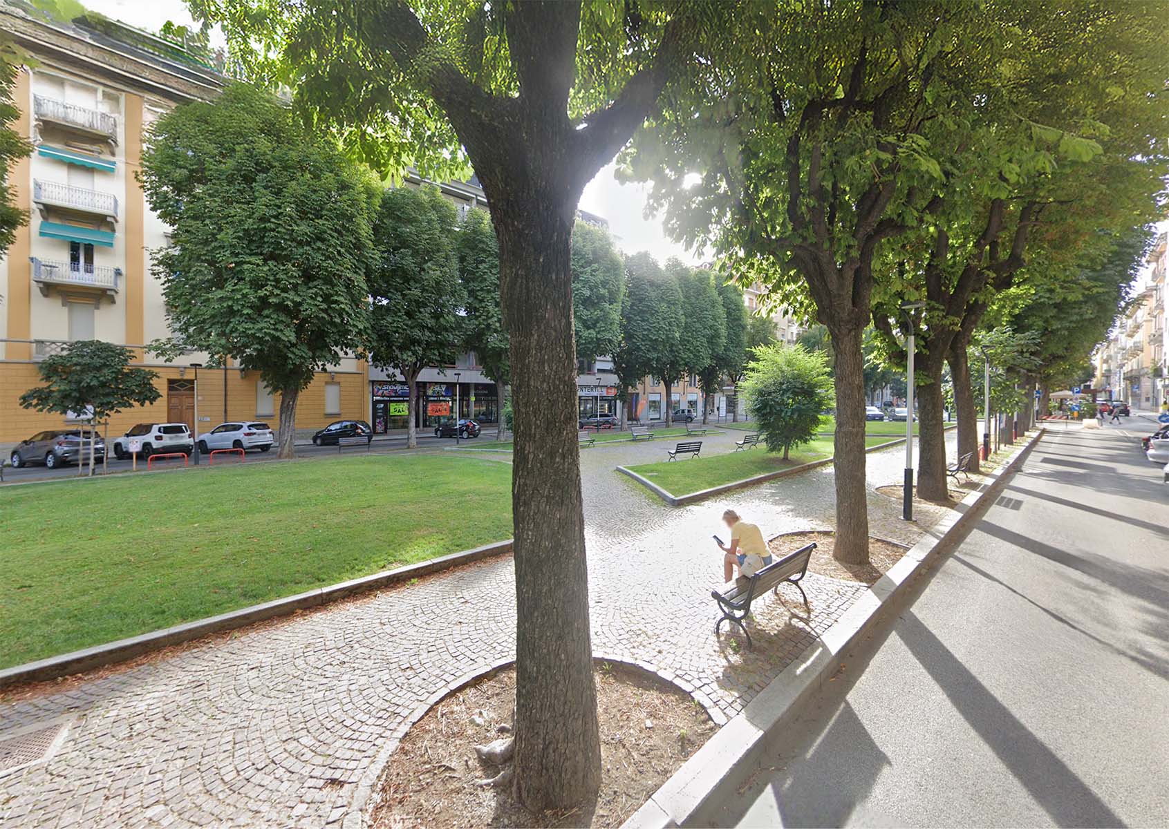 Sostituzione alberi C.so Dante - Cuneo