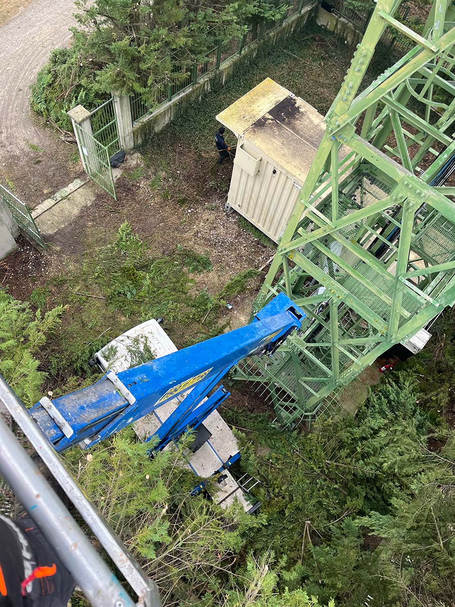 Potatura alberi in corso - L'altezza non ci ferma