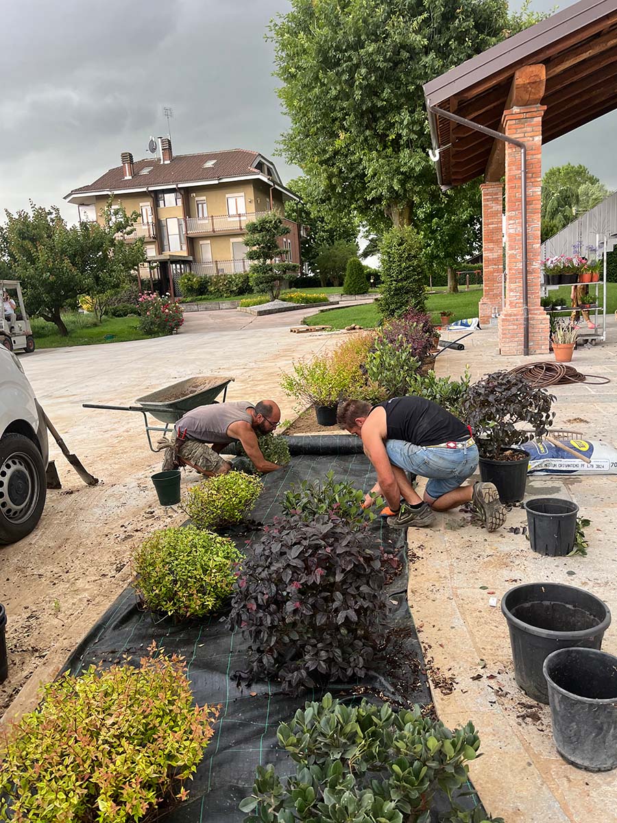 Realizzazione giardino fronte abitazione