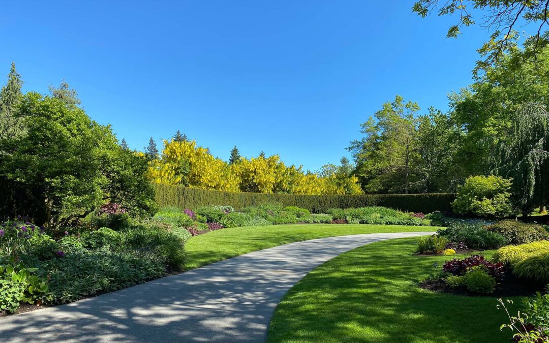 Progettare il tuo giardino